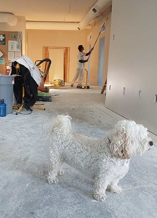 Easy Ottawa area Construction Mortgages and Loan Financing for your next project